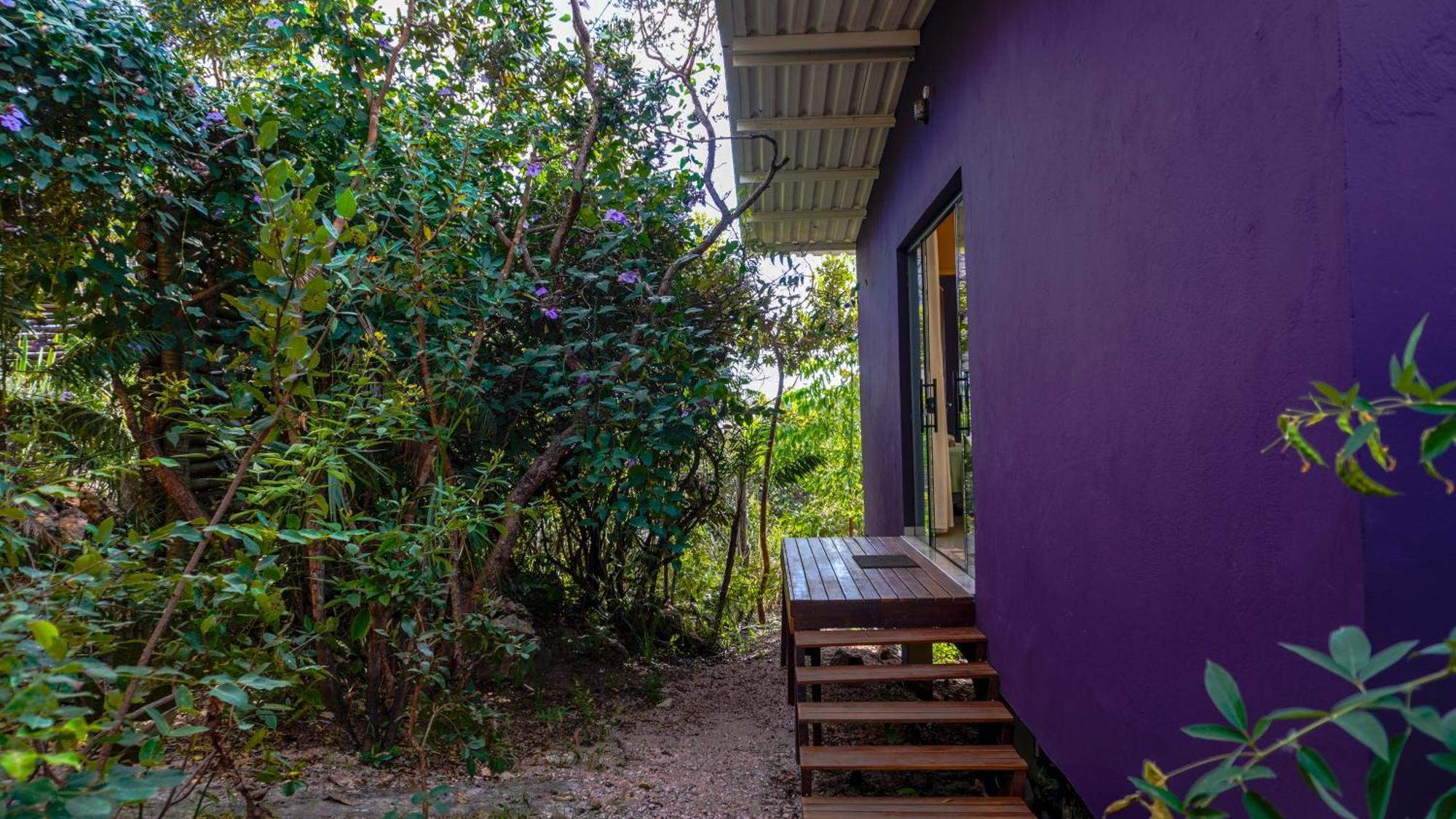 Vila Flor - Chapada Dos Veadeiros Alto Paraiso de Goias Luaran gambar